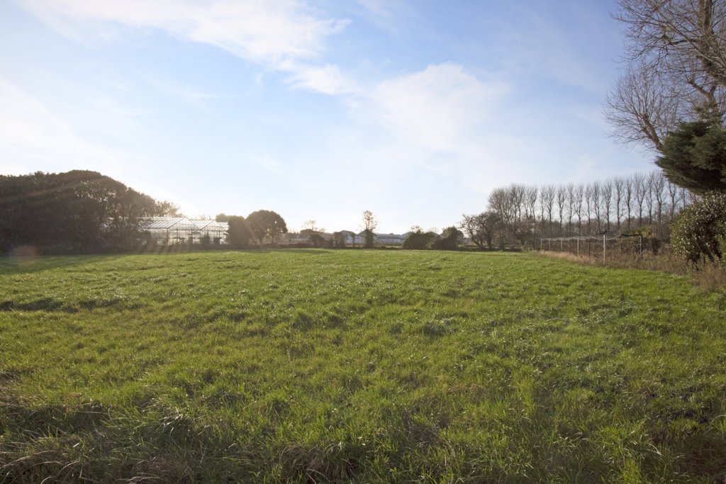 Building Plot, Les Canus, St Sampson local market semidetached to