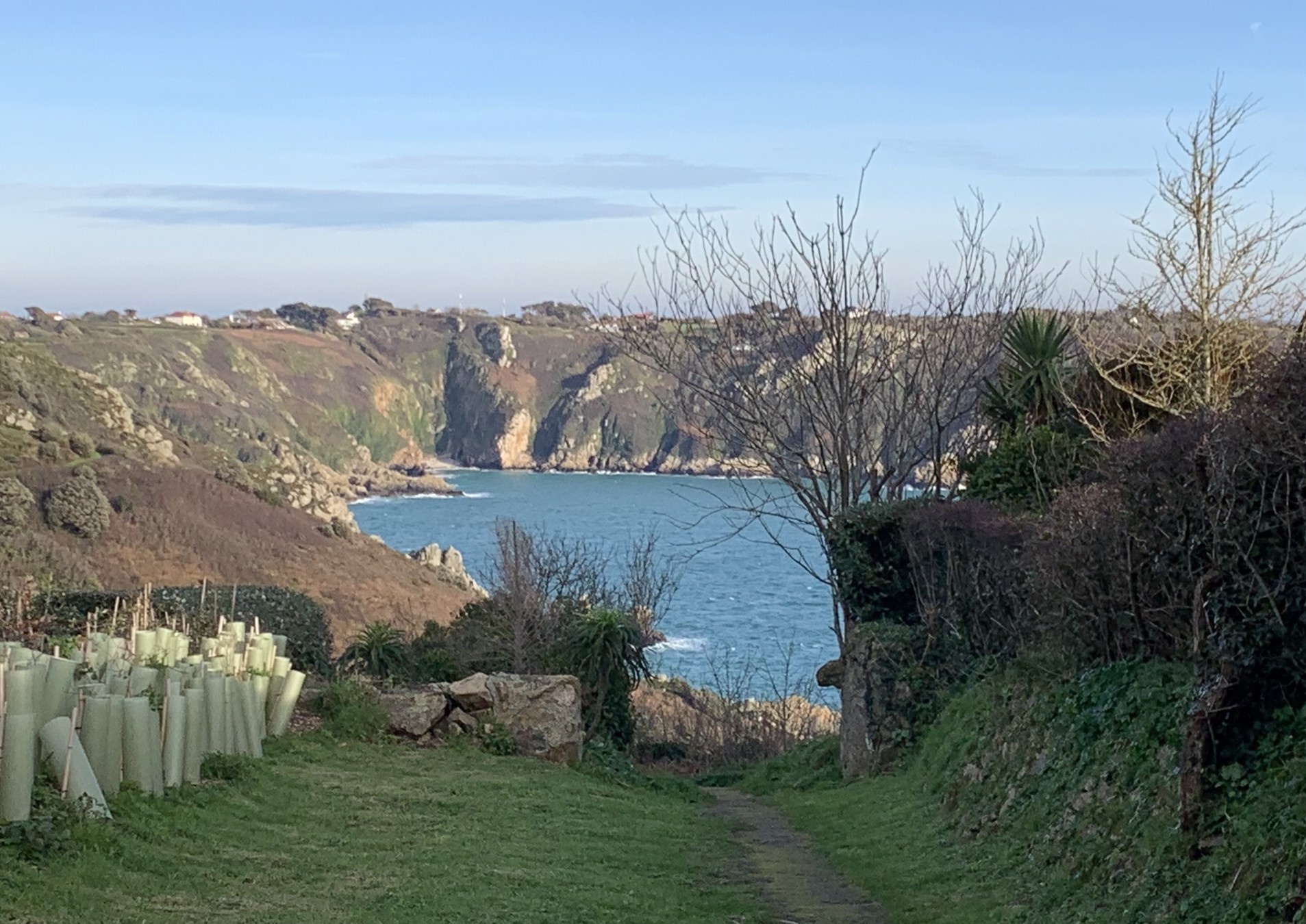 Guernsey Weather Fox forecast for 20240127 brought to you by Seeker