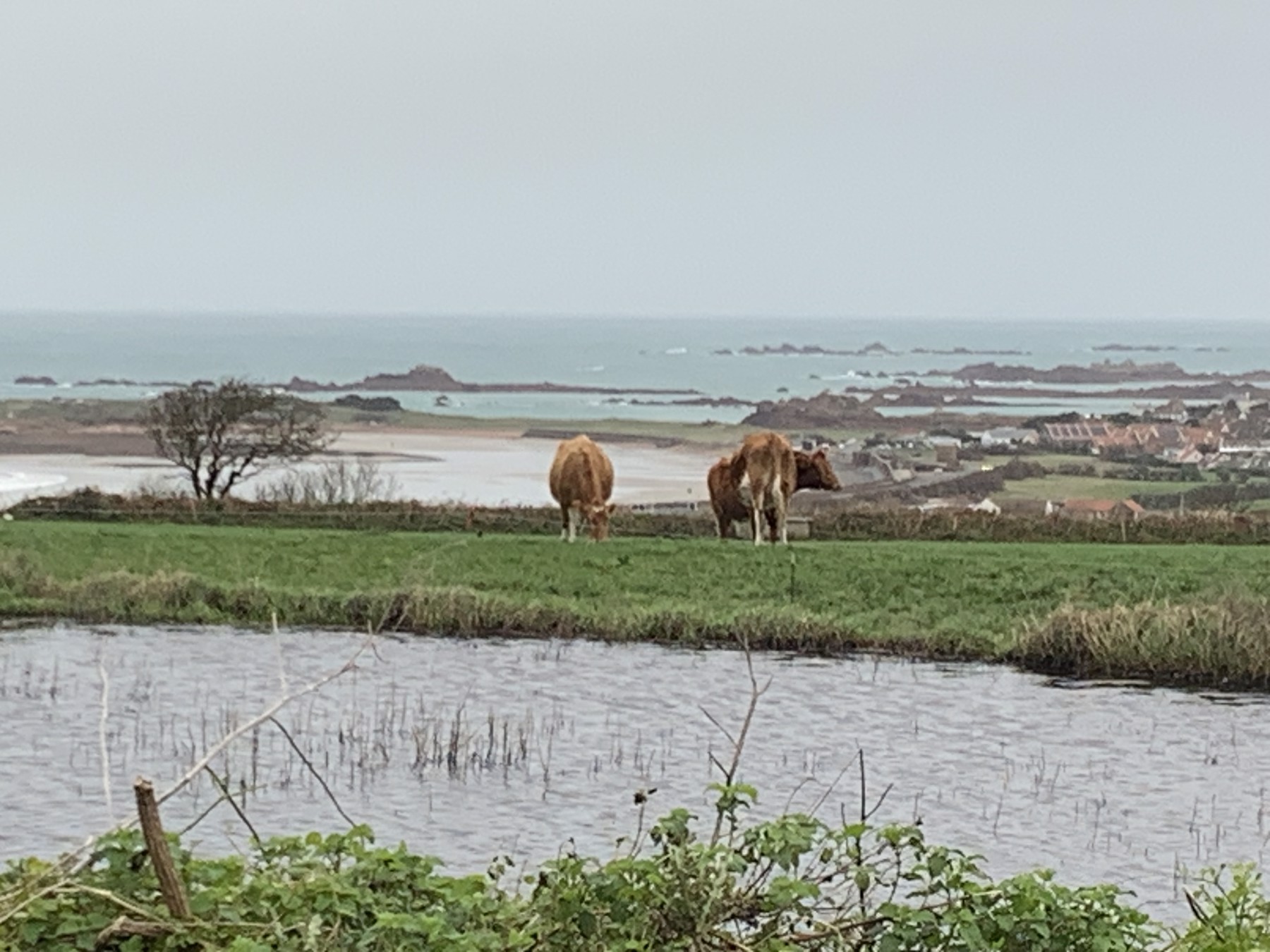 Guernsey Weather Fox forecast for 20240101 brought to you by Seeker