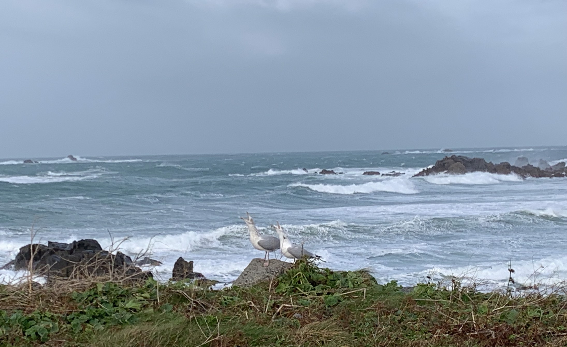 Guernsey Weather Fox forecast for 20231119 brought to you by Seeker